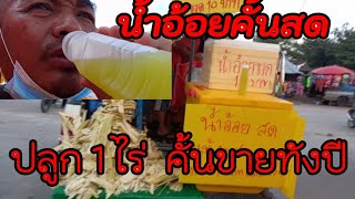 น้ำอ้อยคั้น.ปลูก 1 ไร่ ขายวันละ 30 ลำ ใด้ 100 ขวด ขวดละ 10 บาท