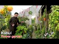 Kabul Afg | 500 Flowers | د ګلونو باغ