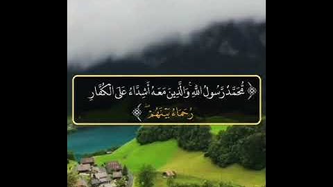 تلاوة مميزة ما تيسر من أواخر سورة الفتح.للقارئ ياسر الزيلعي.