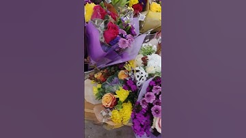 Look at all the beautiful spring flowers at Trader Joe