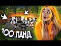 НАШЛИ 100 ПАНД В МАЙНКРАФТ!