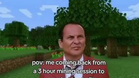 pov: me coming back from a 3 hour mining session to see what bro built