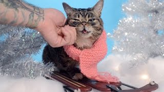 BUB in the FUTURE