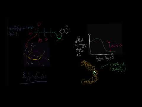 ფერმენტები