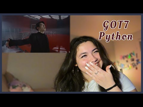 Reaction: GOT7 'PYTHON' MV