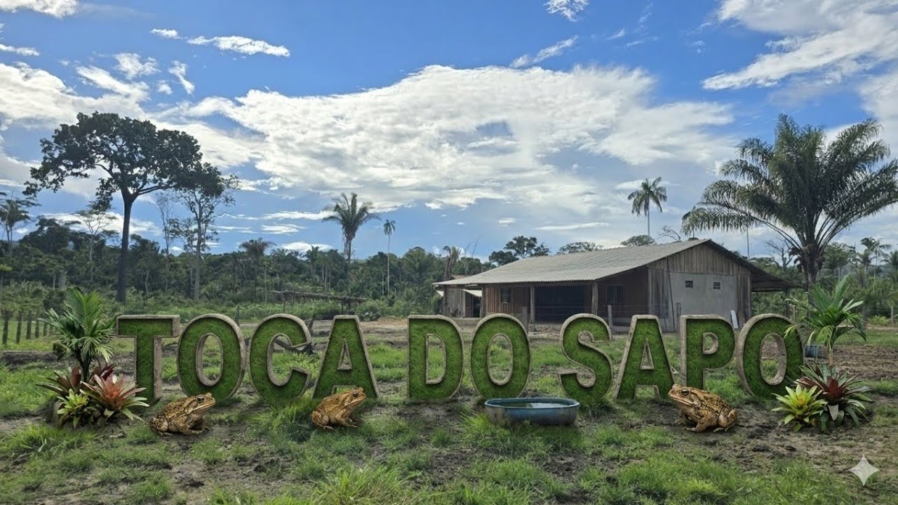 Vocês não vão acreditar aonde o chaninho foi. Dia dia limpando a orta.