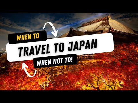 🌟When to Visit Japan: Insider Tips for the Perfect Trip Unveiled!🌟