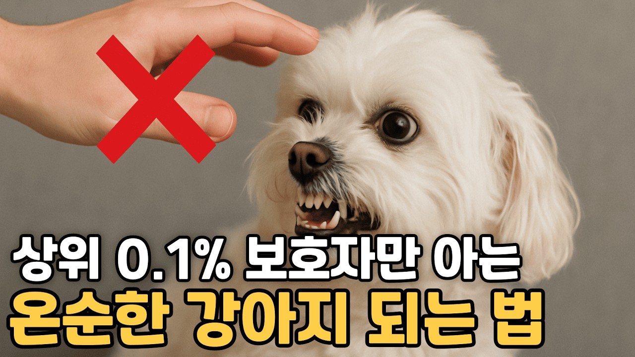 절대 하지 마세요! 강아지 성격 파괴하는 10가지 행동