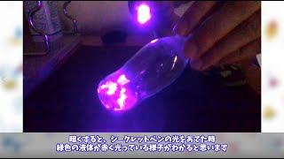 【桐蔭横浜大学 おもしろ理科教室2020】「道端の葉っぱを光らせてみよう」桐蔭横浜大学 医用工学部 臨床工学科 教授 池上和志