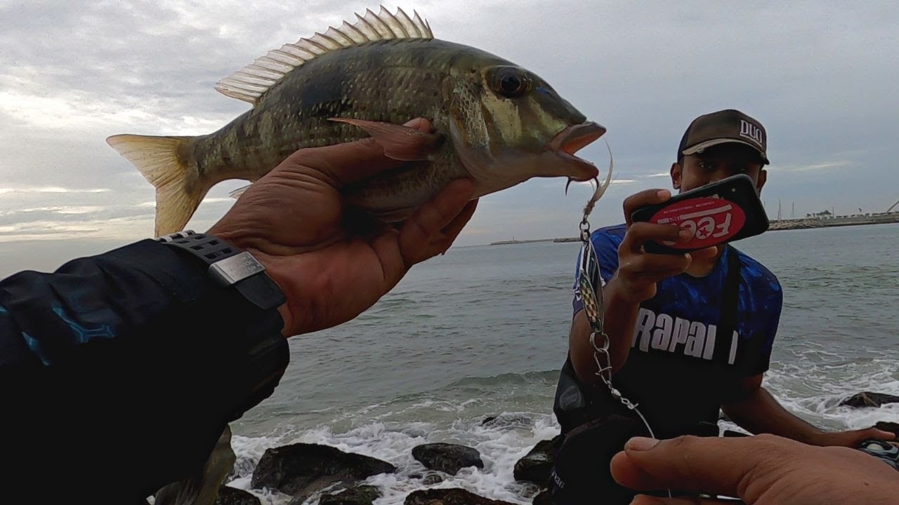 NEW Species UNLOCKED On The Spoon Surf Fishing Catch & Release