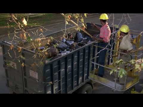 Better Off Dead [1985]: Throwing Away a Perfectly Good White Boy