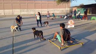 Entrenamiento Pit Sport - Santa Rosa 2018 - Apbt Peru Piura
