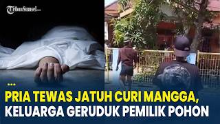 Pria di Bontang Tewas Gegara Jatuh Ketahuan Curi Mangga, Keluarganya Ngamuk Geruduk Pemilik Pohon