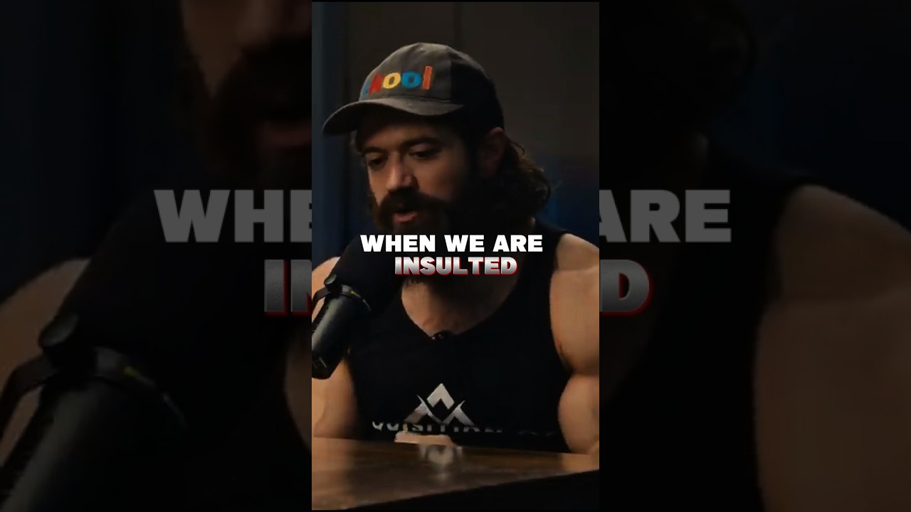 the stoic responds to hate #alexhomozi , #chriswilliam