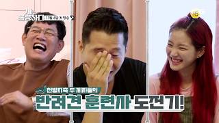 [개는 훌륭하다] 천방지축 두 제자의 반려견 훈련사 도전기!! ㅣ KBS방송