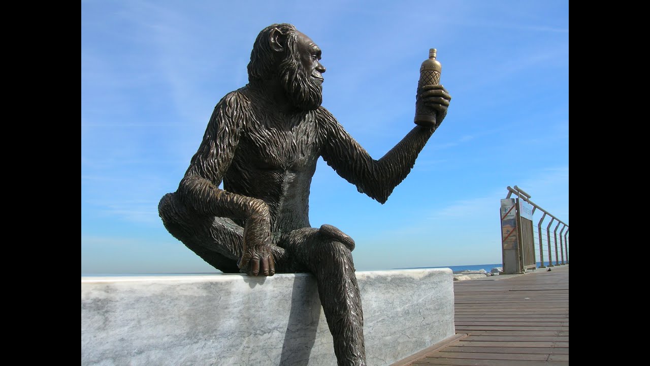 MONO EN EL PUENTE DEL PETROLEO