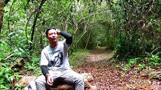 Download Lagu Meet Arie, Research Manager of the Orangutan Foundation MP3
