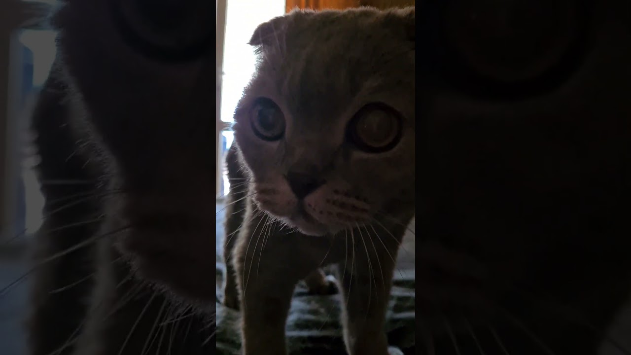 он крутой ))