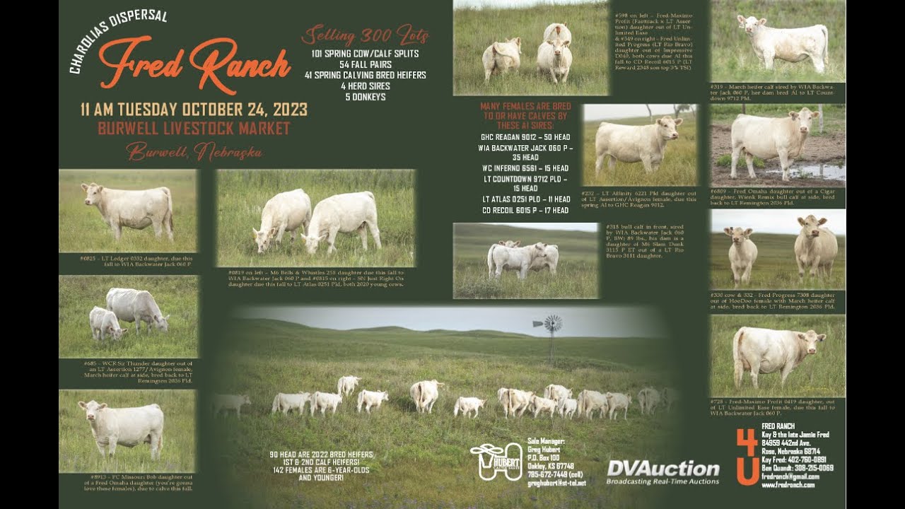 Encart Publicitaire Vintage – Box Ranch Dispersal Sale 1970, Original Pour Déco Murale