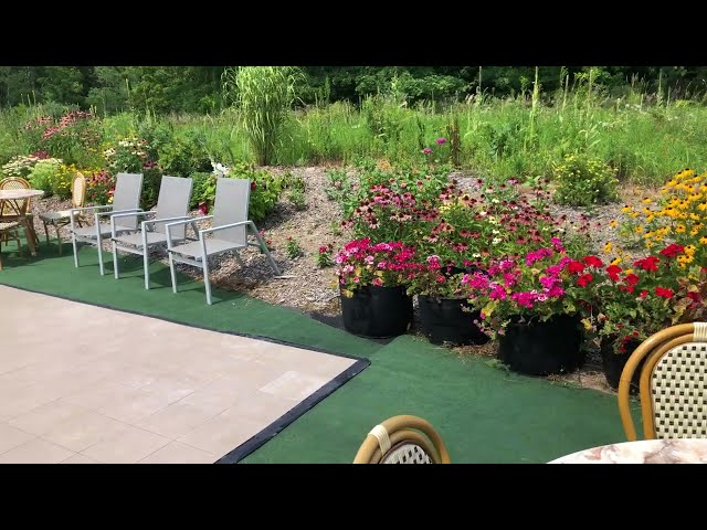 This is a video of the beautiful outdoor dance area we are proud to have. There is no other place to dance next to the f