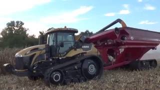 2016 Corn Harvest near Medora Illinois