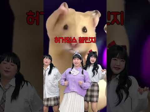 급식왕 허거덩스 상황 챌린지ㅋㅋㅋ#<strong>햄스터</strong> #허거덩스 #밈