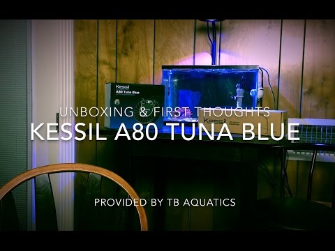 Kessil A80 Tuna Blue LED Light | Unboxing & First Thoughts