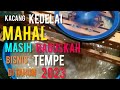 Menjawab pertanyaan dari pemirsa