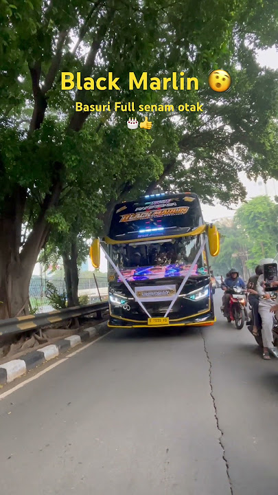 Basuri Horn Sound from bus black marlin PO.akawisata#basuri #buslife #shortsvideo