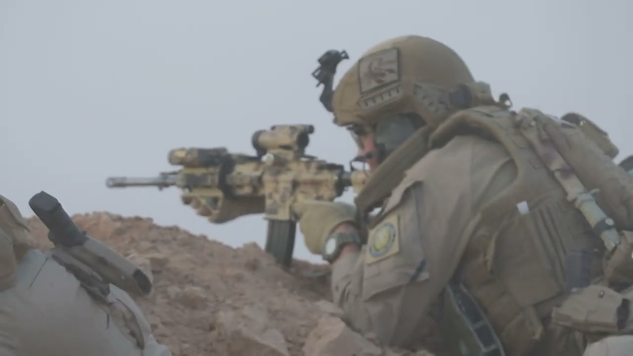 TASK FORCE VIKING in Iraq (CJTF-OIR)