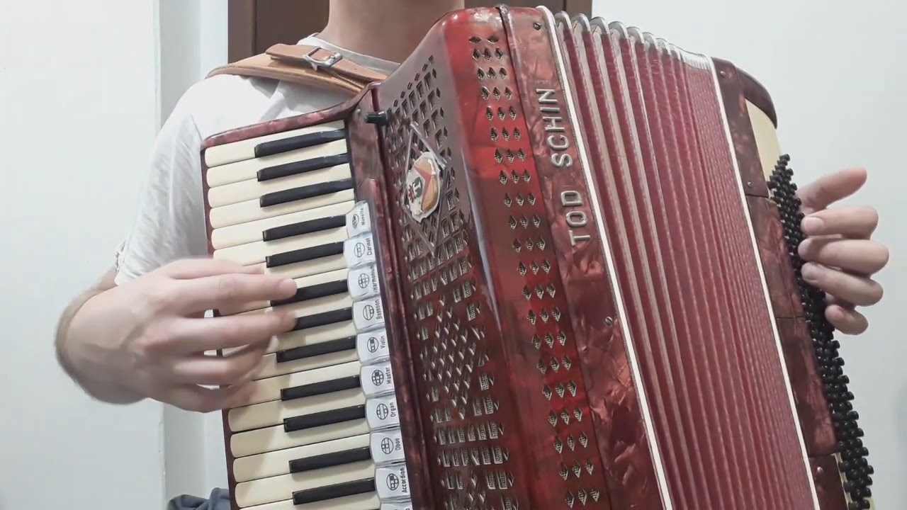 Morena Ingrata Vídeo Aula Porca Véia