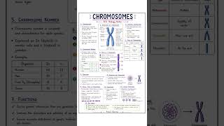 Structure of chromosome #chromosomes #genetics #cellbiology #bscbiology #biologyshorts #lifescience
