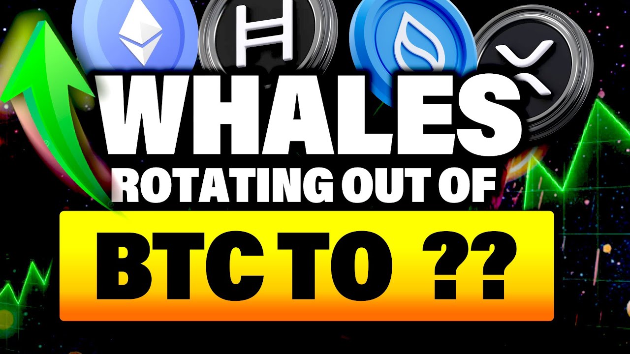 Money Is Rotating Out of Bitcoin Into These 4 Altcoins