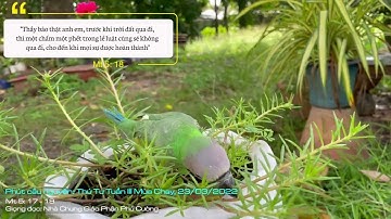 Suy Niệm Lời Chúa: Thứ Tư Tuần III Mùa Chay, 23/03/2022