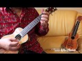 「涙そうそう」 富永寛之のソロ・ウクレレVol.8