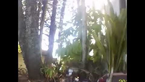 Traxxas rustler test run