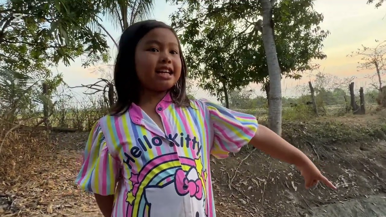 នាយក្រិនមេីលគេបងត្រី