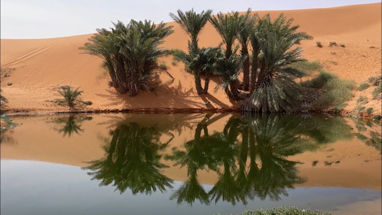 40- مدينة القصب وزيارتي الى بحيرة برودان وبحيرة الملح