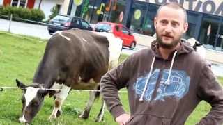 LA BULLE BELGE #08 - LE PAQUET BELGE