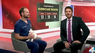 Hurricane preparedness for pets