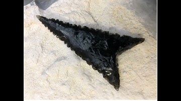 188 - Flintknapping a slab of Black Obsidian using pressure only. 1/1