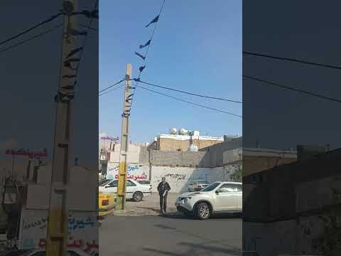 شیراز خیابان سرداران باغ دلگشا باغ خیابان کلیپ شیراز گردی موتور سواری سرما