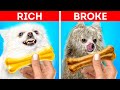 RICH DOG vs BROKE DOG || HOW TO BE A PERFECT PET OWNER🐶🐱