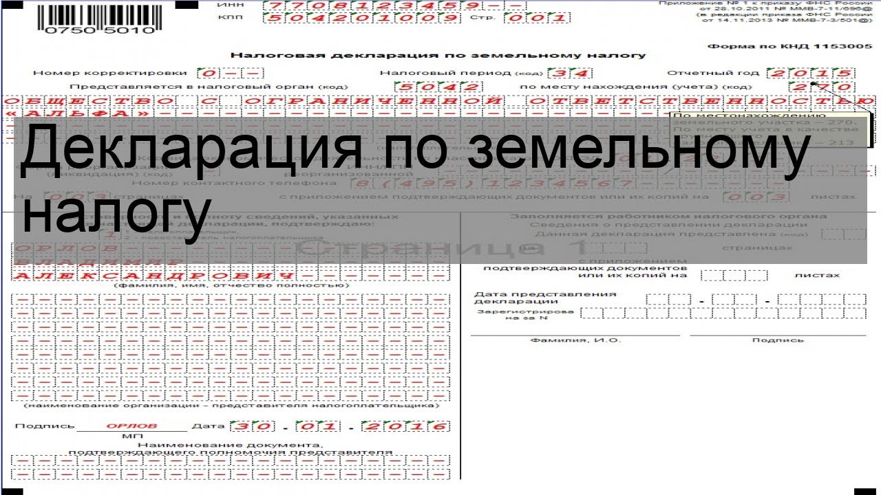 Земельная декларация образец