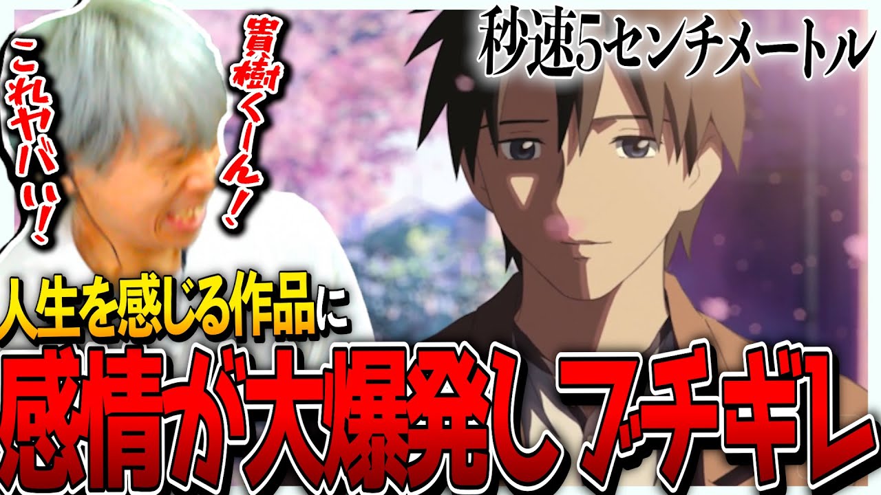 秒速5センチメートルを見て発狂する一般日本人男性｜アニメリアクション｜5 Centimeters per Second Reaction｜同時視聴 夏休みスペシャル #秒速5センチメートル