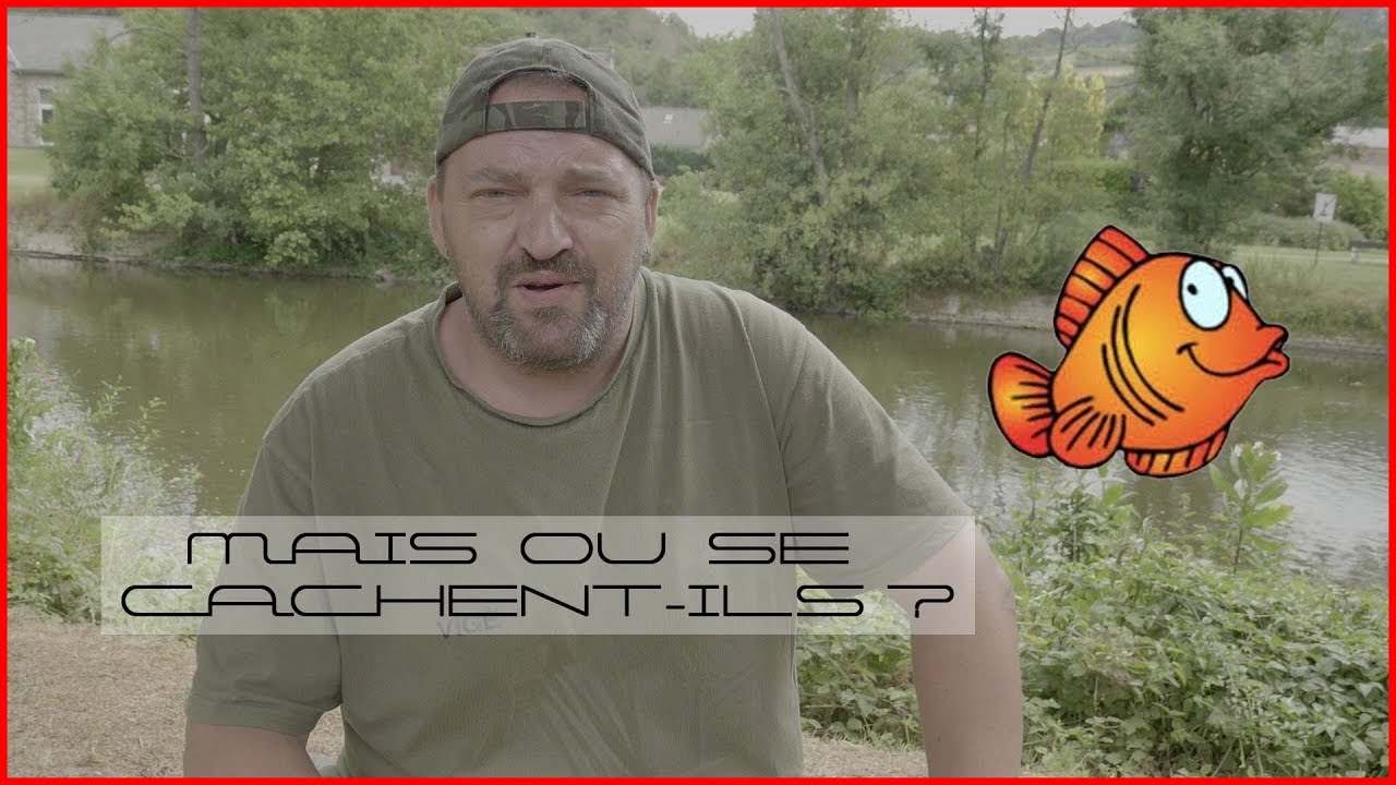 Pêche carnassier: GROSSE remise en question ! (S02-E16)