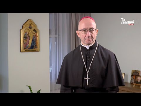 Pallotyński komentarz //