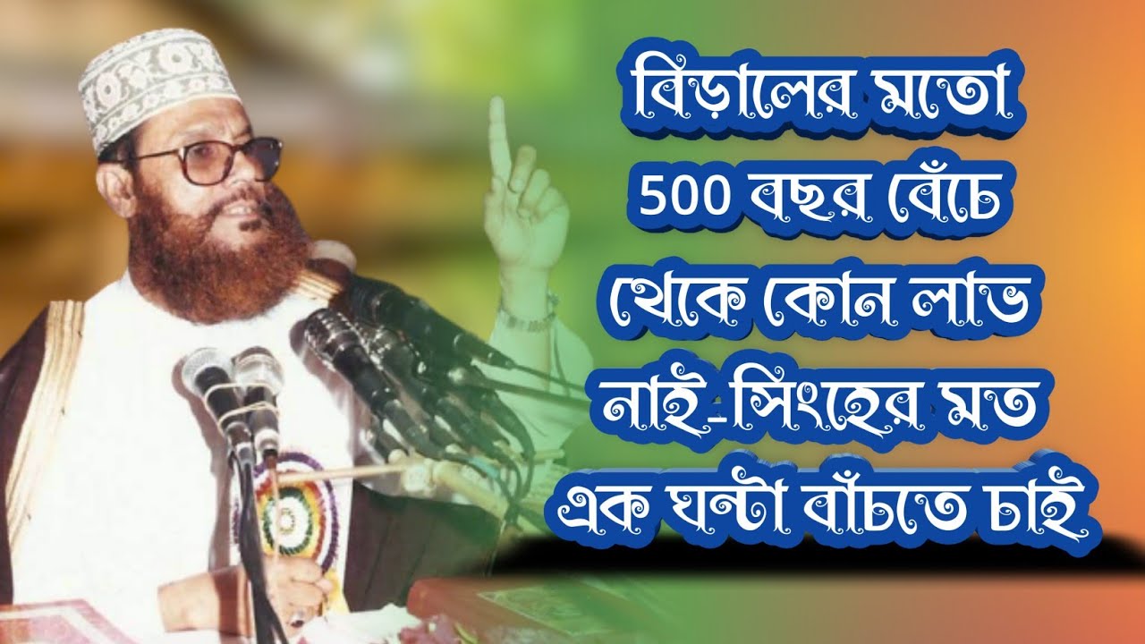 বিড়ালের মতো 500 বছর বেঁচে থেকে কোন লাভ নাই___সিংহের মত এক ঘন্টা বাঁচতে ...