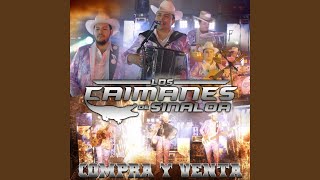 Ojos Negros Nunca Engañan (Live)