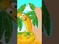 Семья Фруктов Пальцевая #shrots #nurseryrhymes #fruitfingerfamily #kidssong